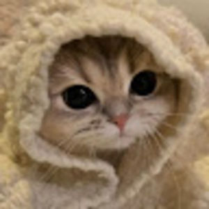 Meet your Posher, Nico